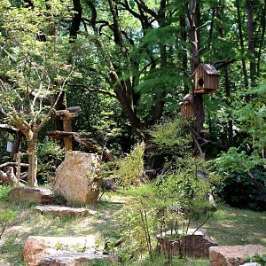 New Red Panda/ Demoiselle Crane Mixed Exhibit, East Island