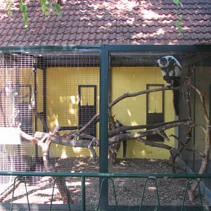 Horrible B+W ruffed lemur enclosure