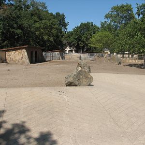 Ostrich+Eland mixed exhibit