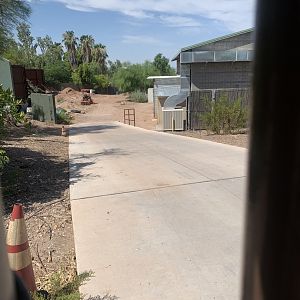 Mystery Construction Behind Giants of the Asian Realm-6 months later (taken July 20, 2022)