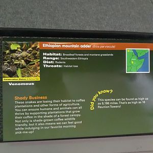 Don't remember this being here