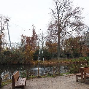 Dalmatian pelican pond and Vulture aviary, 2021-11-23