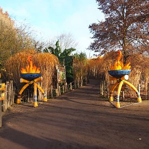 Access road to the bonobo house, 2021-11-23