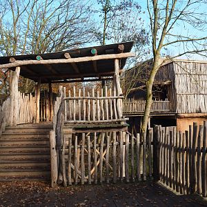 Access road to the bonobo house and bonobo viewing area, 2021-11-23