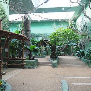 Bonobo house visitor area, 2021-11-23