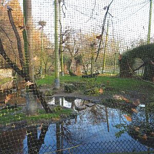 African waterfront walk-through aviary, 2021-11-23
