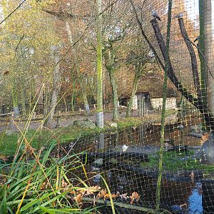 African waterfront walk-through aviary, 2021-11-23