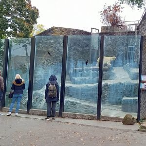 Polar bear enclosure