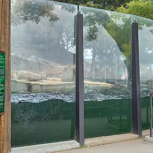 Polar bear enclosure