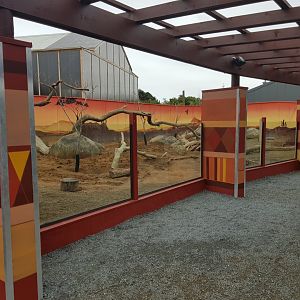 Meerkat (Suricata suricatta) and Cape Porcupine (Hystrix africaeaustralis) Enclosure Left