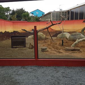 Meerkat (Suricata suricatta) and Cape Porcupine (Hystrix africaeaustralis) Enclosure Left