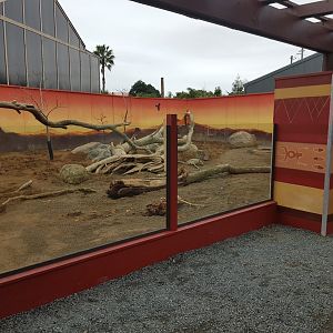 Meerkat (Suricata suricatta) and Cape Porcupine (Hystrix africaeaustralis) Enclosure Middle