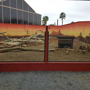 Meerkat (Suricata suricatta) and Cape Porcupine (Hystrix africaeaustralis) Enclosure Right