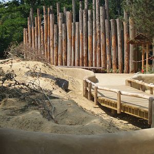Black-tailed prairie dog exhibit, 2006-07-08