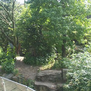 Kodiak bear exhibit, 2006-07-08