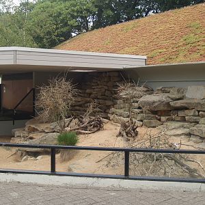 First Indian crested porcupine exhibit, 2006-07-08