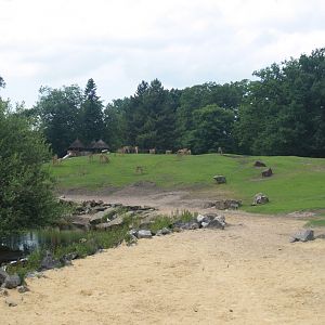 Savanna exhibit, 2006-07-08