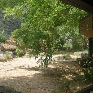 Part of the Sri Lankan leopard exhibit and part of the visitor tunnel underneath the exhibit, 2006-07-08