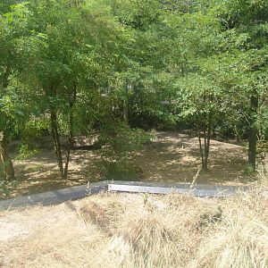 Part of the Sri Lankan leopard exhibit, 2006-07-08