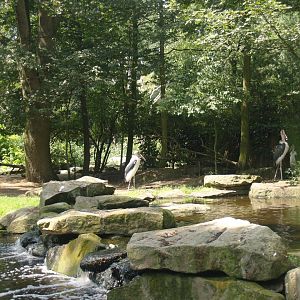 Part of the Marabou exhibit, 2006-07-08