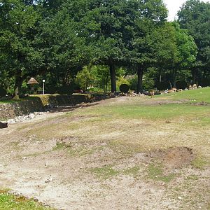 Savanna exhibit, 2006-07-08