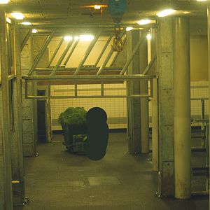 Part of the underground indoor housing for the Asian elephants, 2006-07-08