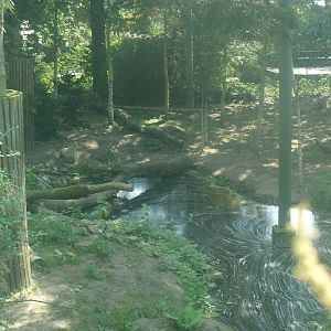 Amur tiger exhibit, 2006-07-08