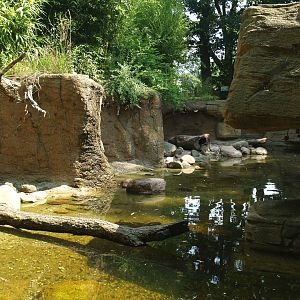 Asian small-clawed otter exhibit, 2006-07-08