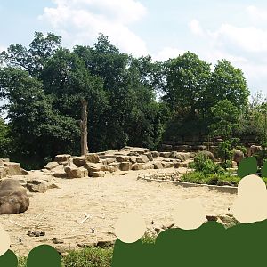 Asian elephant exhibit, 2006-07-08