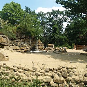 Asian elephant exhibit, 2006-07-08