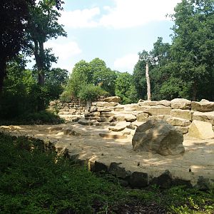 Asian elephant exhibit, 2006-07-08