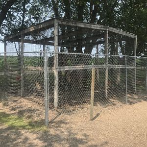 Vervet Monkey Exhibit