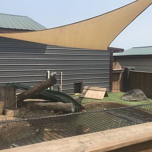 North American River Otter Exhibit