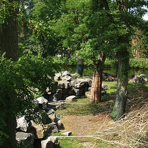 Wild West exhibit,  2006-07-08