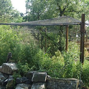 Wild West exhibit - Great grey owl aviary, partially built above the visitor bridge, 2006-07-08