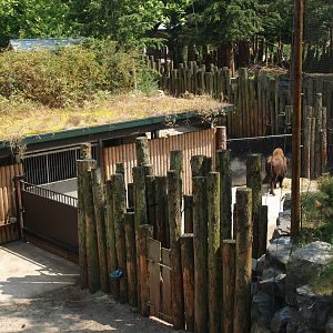 Wild West exhibit - Bison and moose barn and separation paddocks, 2006-07-08