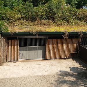Wild West exhibit - Bison and moose barn and separation paddocks, 2006-07-08