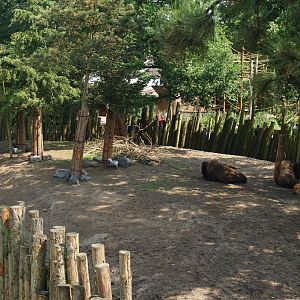 Part of the Wild West exhibit, 2006-07-08