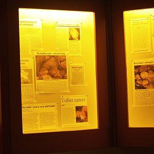 Naked molerat signage, 2006-07-08