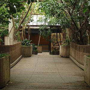 African house walkway with Slender-snouted crocodile exhibit viewing areas, 2006-07-08