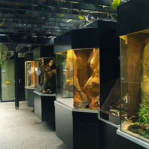 African house terrariums, 2006-07-08