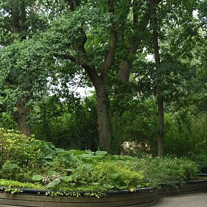 Planted garden area near the Lar gibbon island, 2006-07-08