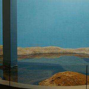 Atlantic horseshoe crab pond in the Biochron, 2006-07-08