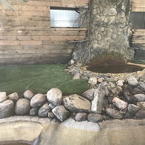 American Aligator Exhibit