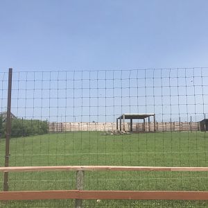 Sichuan Takin Exhibit