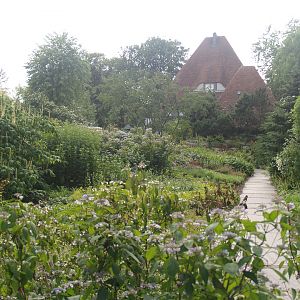 Garden area and Villa Lindenhof, 2006-07-08
