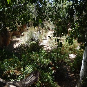 5/8/2022 - Deer Habitat