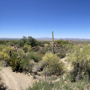 5/8/2022 - General View of Desert Loop Trail