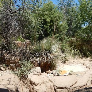 5/8/2022 - Deer Habitat (Back View)