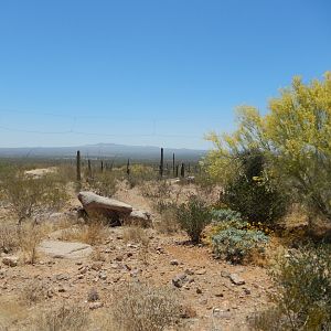 5/8/2022 - Coyote Habitat